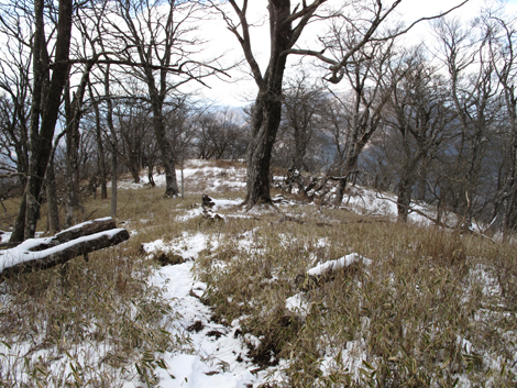 20160218hike (330)